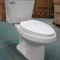 Elongated Two Piece Toilet