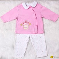 Baby Girl Boutique Clothing Set With Embroidery 2pcs