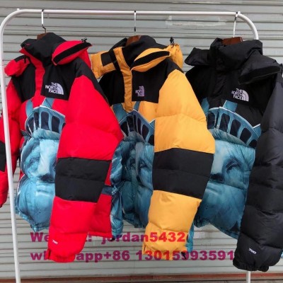 Wholesale Top THE NORTH FACE down jacket The North Face down coats for manpicture1