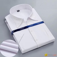 OEM Custom 100% Cotton Short Sleeve Hight Quality Men's Business Dress Shirt