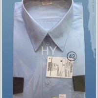 men's leisure shirt