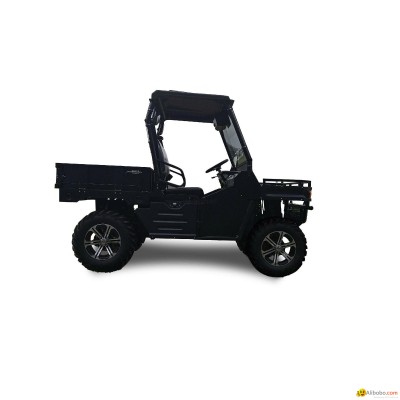 1200cc CVT diesel UTV for salepicture1
