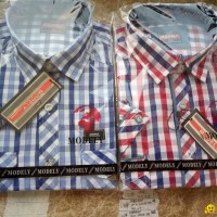 polyester cotton men check shirt for stock
