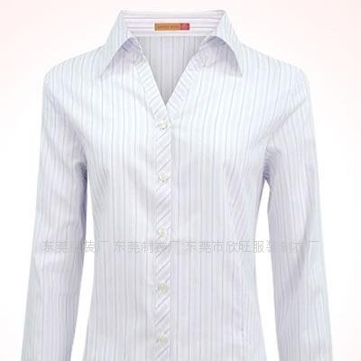 Ladies shirtspicture1