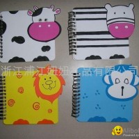 EVA notebook