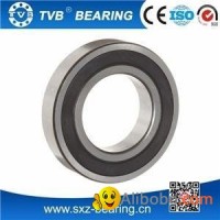 6204 2RS Bearings