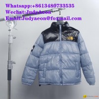 2023 1:1 the north face down jacket