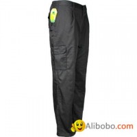 Cargo/ Work Pants