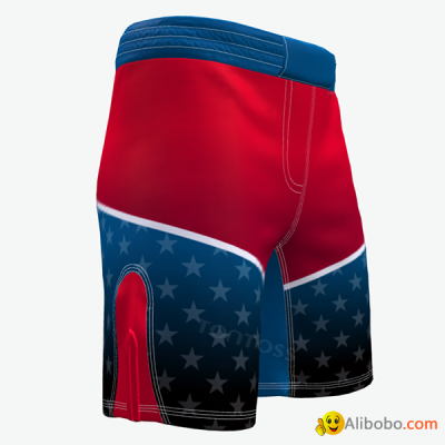 Mens martial boxing mma shorts BJJ combat shortspicture1
