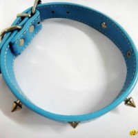 2011 light blue fashion leather dog collar