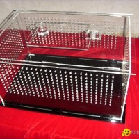 creepiness box,acrylic pet box