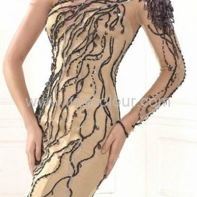 Cheap 2014 Spring Summer Celebrity Dresses Gowns Discount Reference Images Tullepicture1