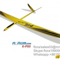 P3 full composite rc plane model