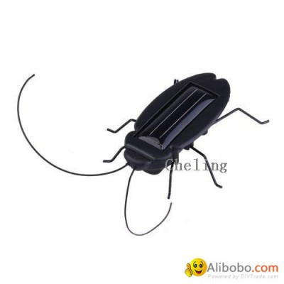Solar Cockroachpicture1