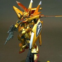 Gundam Model  Gold Paint MG1/100