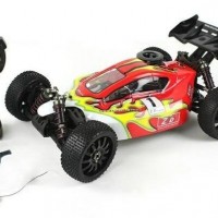 ZD Racing  Nitro B   y