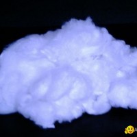 Nylon 6 & 66 Staple fiber