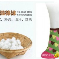 wholesale Fashion female ankle sport socks