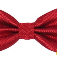 Polyester Bow Ties
