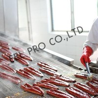 headless back-cut frozen raosted eel