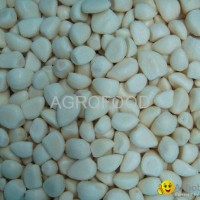 IQF garlic