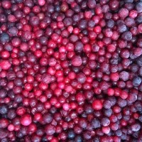 IQF Wild Lingonberries,Frozen Wild Lingonberries