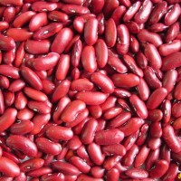 Dark Red Kidney Beans