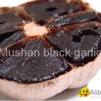 Amazing Black garlic helping lower blood sugar & blood pressure
