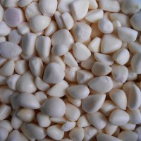 IQF Garlic Cloves ,Frozen Garlic Cloves,IQF Garlic Segments