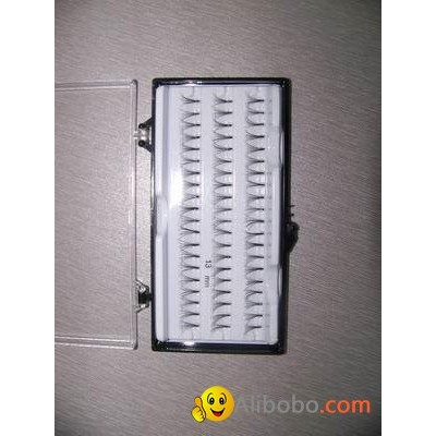 beauty eyelashespicture1