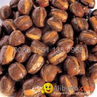 Organic roasted chesnut in hebei province
