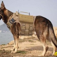 Level IIIA Dog Body Armor Canine K9 Police Vest Harness
