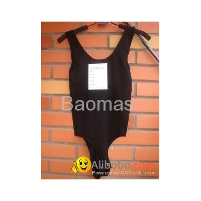 bodysuitpicture1